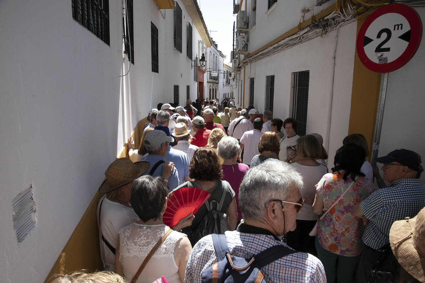 El pletórico sábado de Patios de Córdoba, en imágenes