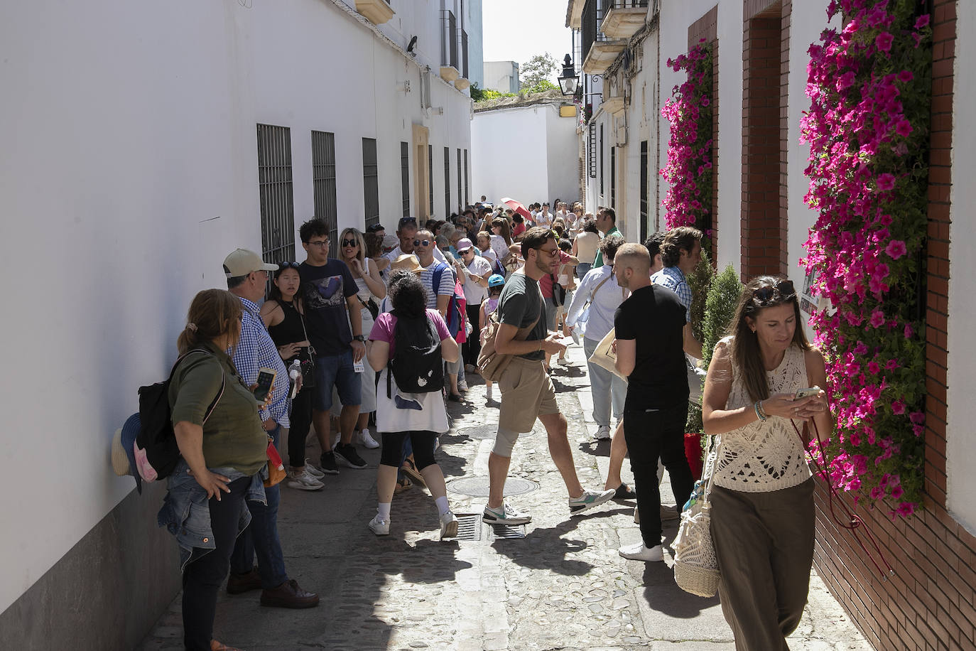 El pletórico sábado de Patios de Córdoba, en imágenes