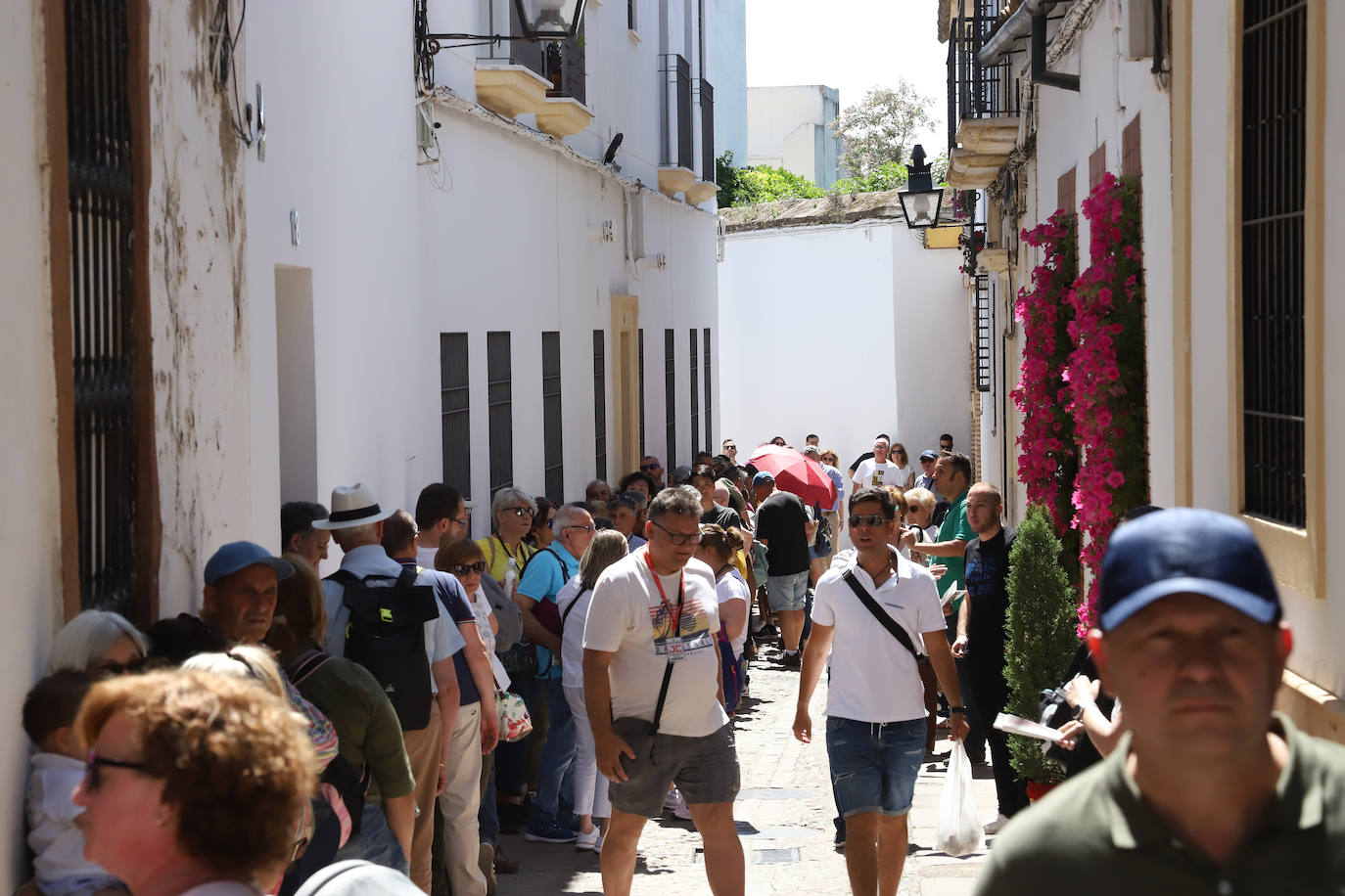 El pletórico sábado de Patios de Córdoba, en imágenes