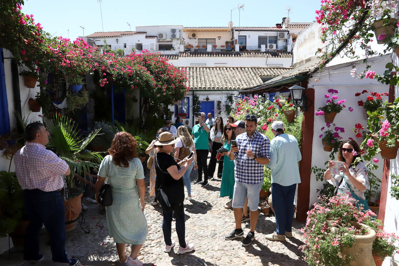 El pletórico sábado de Patios de Córdoba, en imágenes