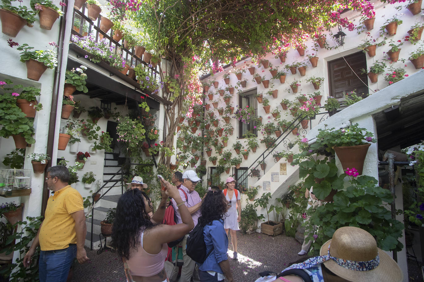 El pletórico sábado de Patios de Córdoba, en imágenes