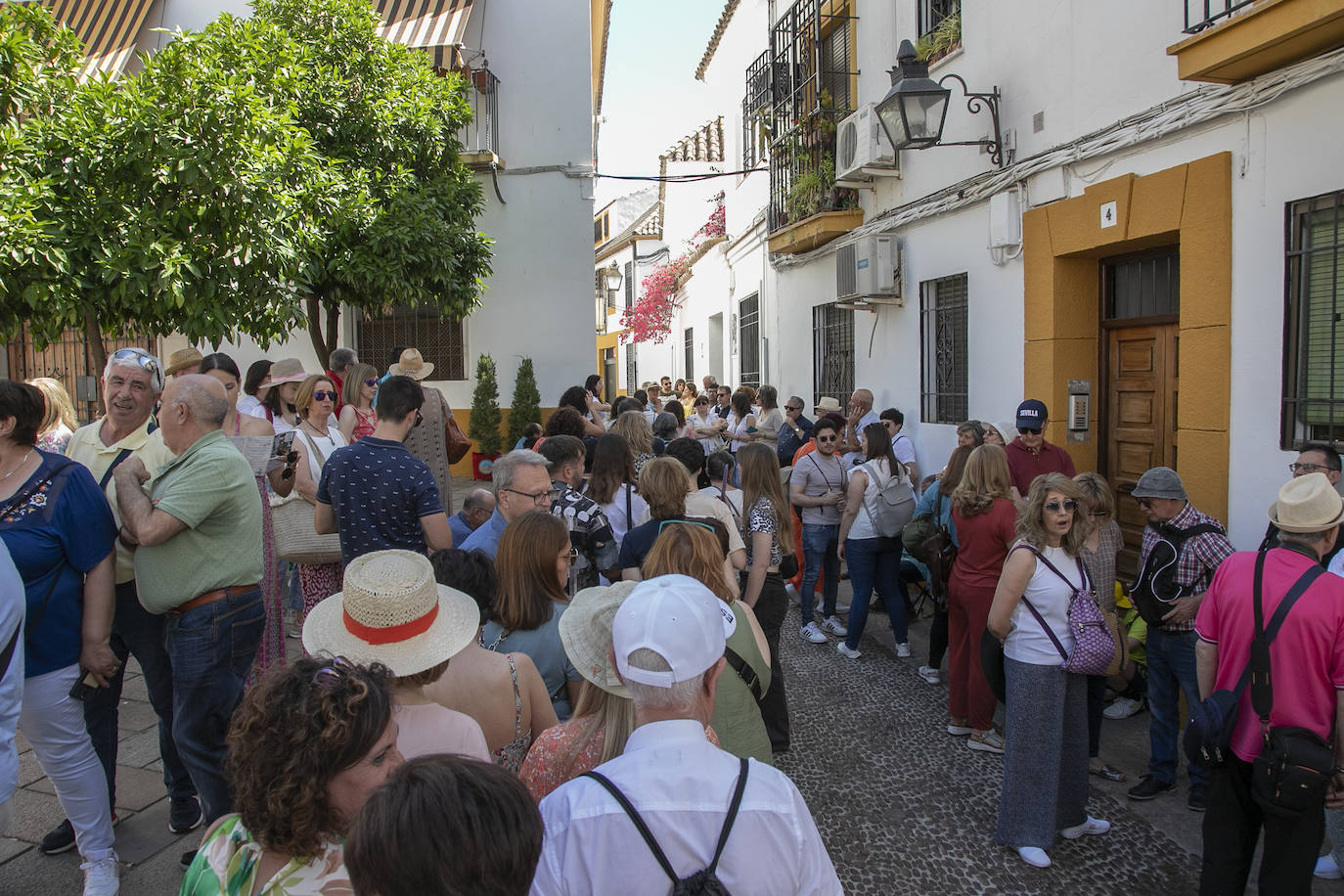 El pletórico sábado de Patios de Córdoba, en imágenes