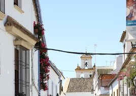 Patios de Córdoba 2023 | Las visitas a los Patios crecen un 9,4% en el arranque del Festival