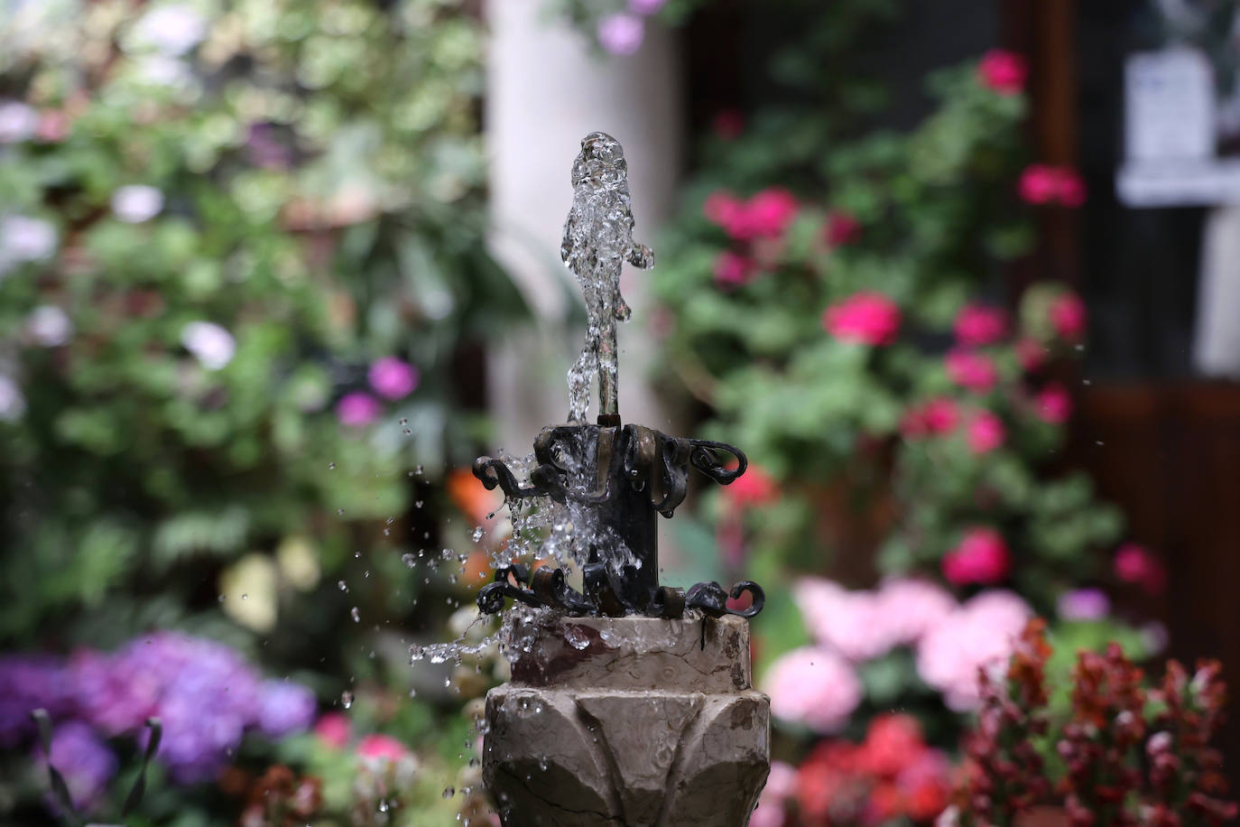 Patios de Córdoba 2023 | La genuina ruta de Santiago y San Pedro, en imágenes