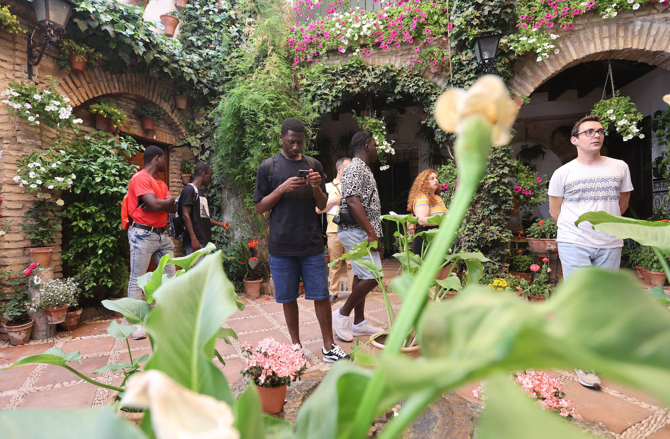 Patios de Córdoba 2023 | La genuina ruta de Santiago y San Pedro, en imágenes