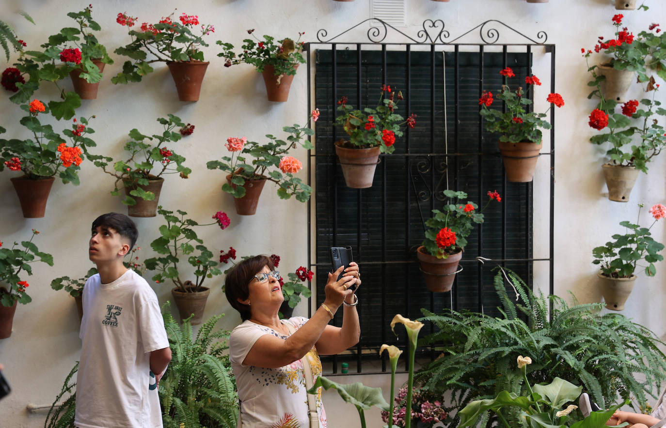 Patios de Córdoba 2023 | La genuina ruta de Santiago y San Pedro, en imágenes