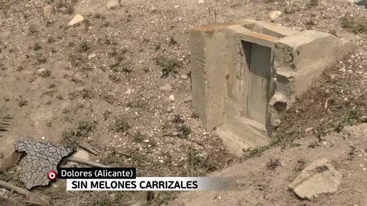 Sin agua para melones ni para que crezca el forraje