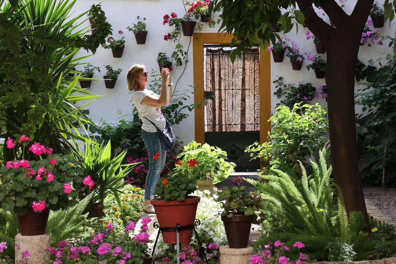 Patios de Córdoba 2023 | La intimidad de la ruta Regina-Realejo, en imágenes