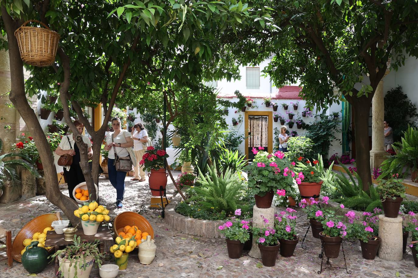 Patios de Córdoba 2023 | La intimidad de la ruta Regina-Realejo, en imágenes