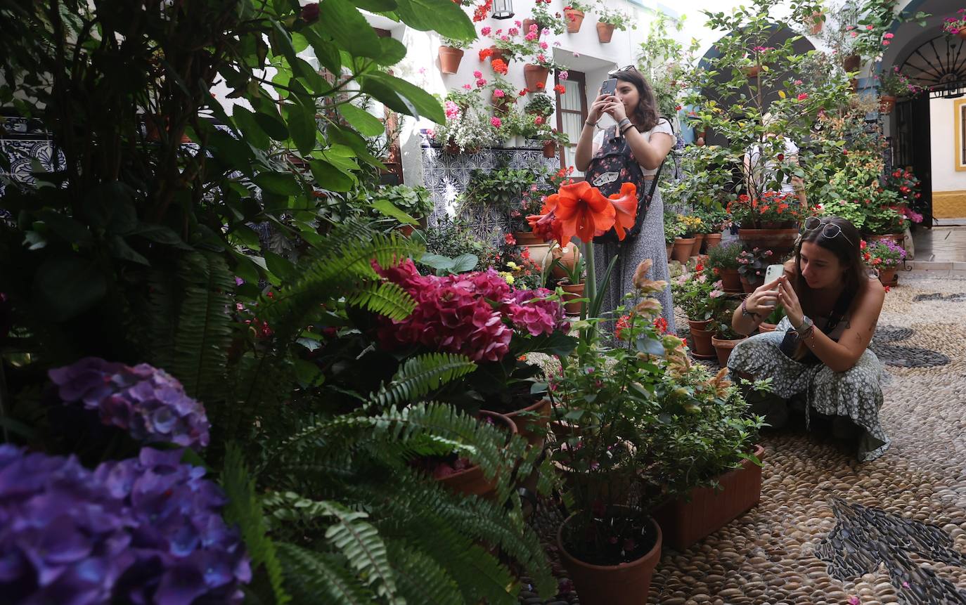 Patios de Córdoba 2023 | La intimidad de la ruta Regina-Realejo, en imágenes