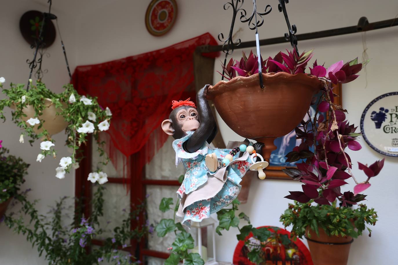 Patios de Córdoba 2023 | La intimidad de la ruta Regina-Realejo, en imágenes