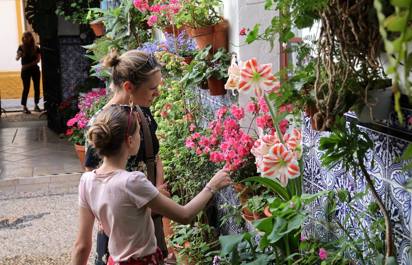 Patios de Córdoba 2023 | La intimidad de la ruta Regina-Realejo, en imágenes