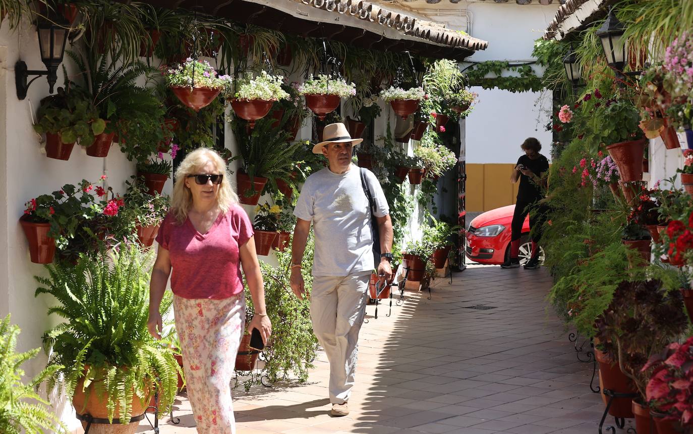 Patios de Córdoba 2023 | La intimidad de la ruta Regina-Realejo, en imágenes