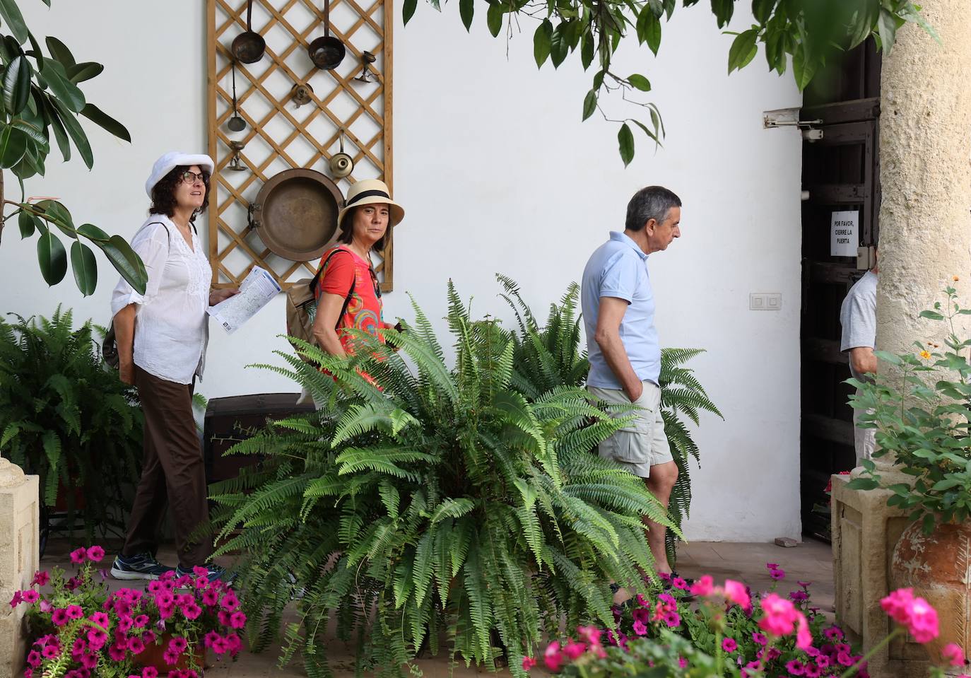 Patios de Córdoba 2023 | La intimidad de la ruta Regina-Realejo, en imágenes