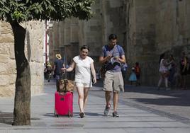 El número de pisos turísticos se dispara en Córdoba un 29% en el último año
