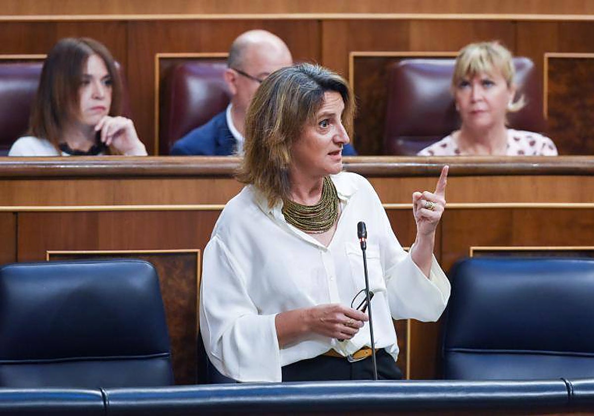 La vicepresidenta tercera y ministra para la Transición Ecológica y Reto Demográfico, este miércoles en el Congreso de los Diputados
