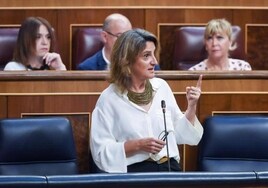 La ministra Ribera vuelve a cargar contra Castilla y León por la despoblación: «Las cosas van fatal»