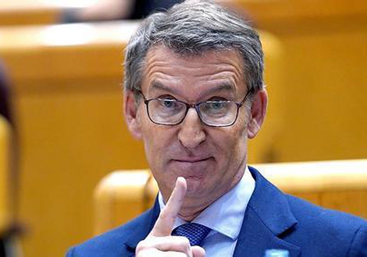 Alberto Núñez Feijóo, presidente del PP