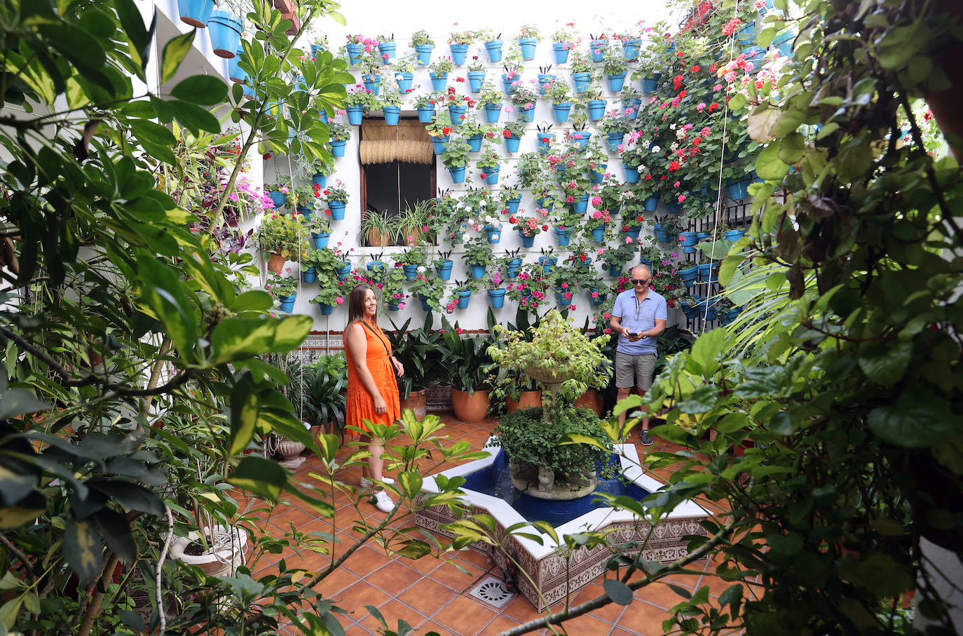 Patios Córdoba 2023 | Los detalles de la ruta Judería-San Francisco, en imágenes