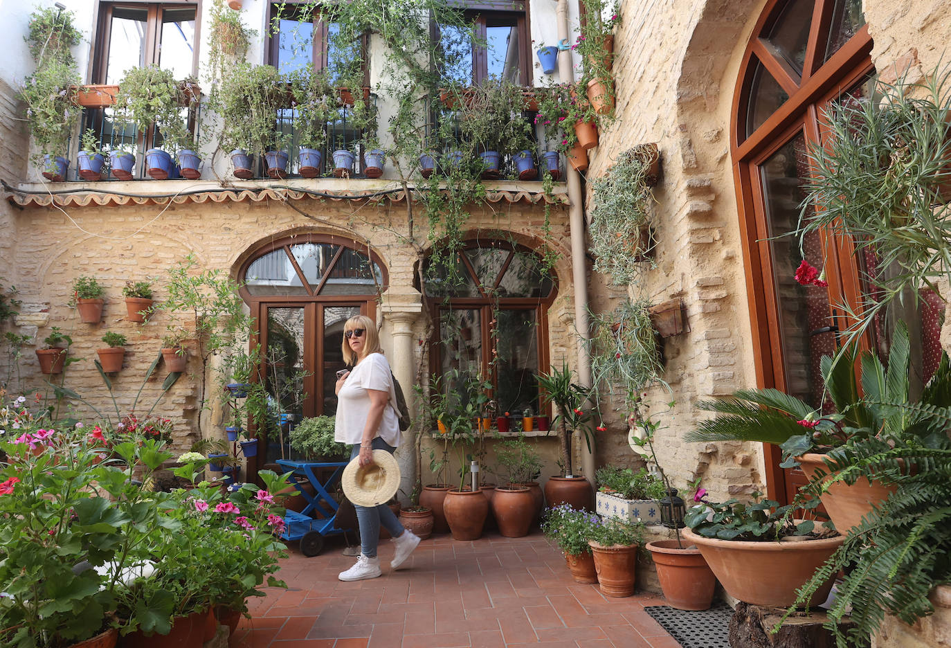 Patios Córdoba 2023 | Los detalles de la ruta Judería-San Francisco, en imágenes