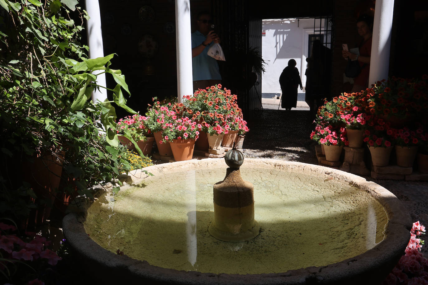 Patios Córdoba 2023 | Los detalles de la ruta Judería-San Francisco, en imágenes