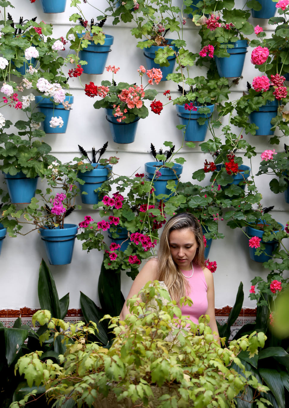 Patios Córdoba 2023 | Los detalles de la ruta Judería-San Francisco, en imágenes