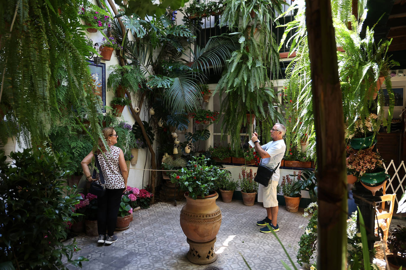 Patios Córdoba 2023 | Los detalles de la ruta Judería-San Francisco, en imágenes