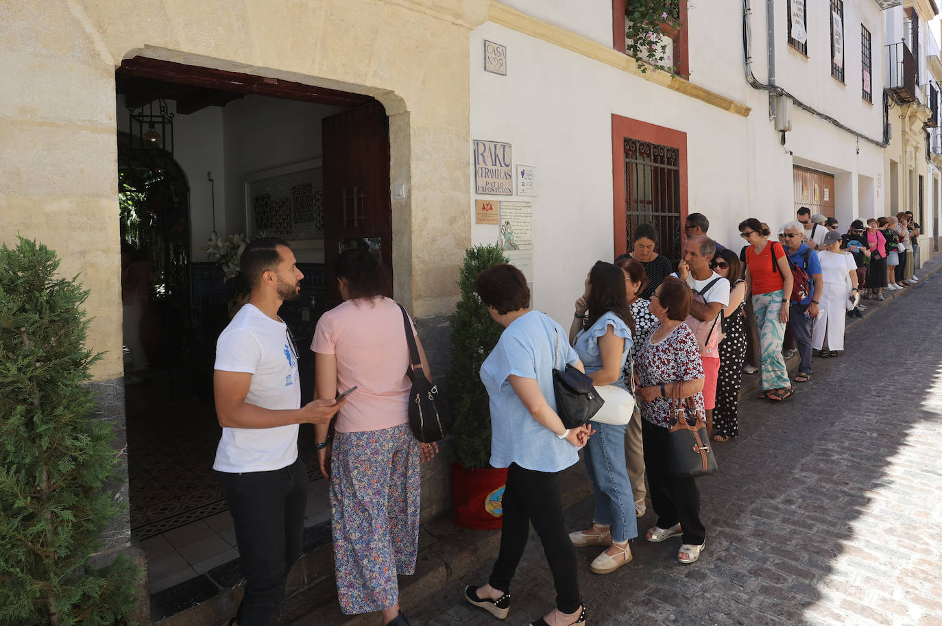 Patios Córdoba 2023 | Los detalles de la ruta Judería-San Francisco, en imágenes