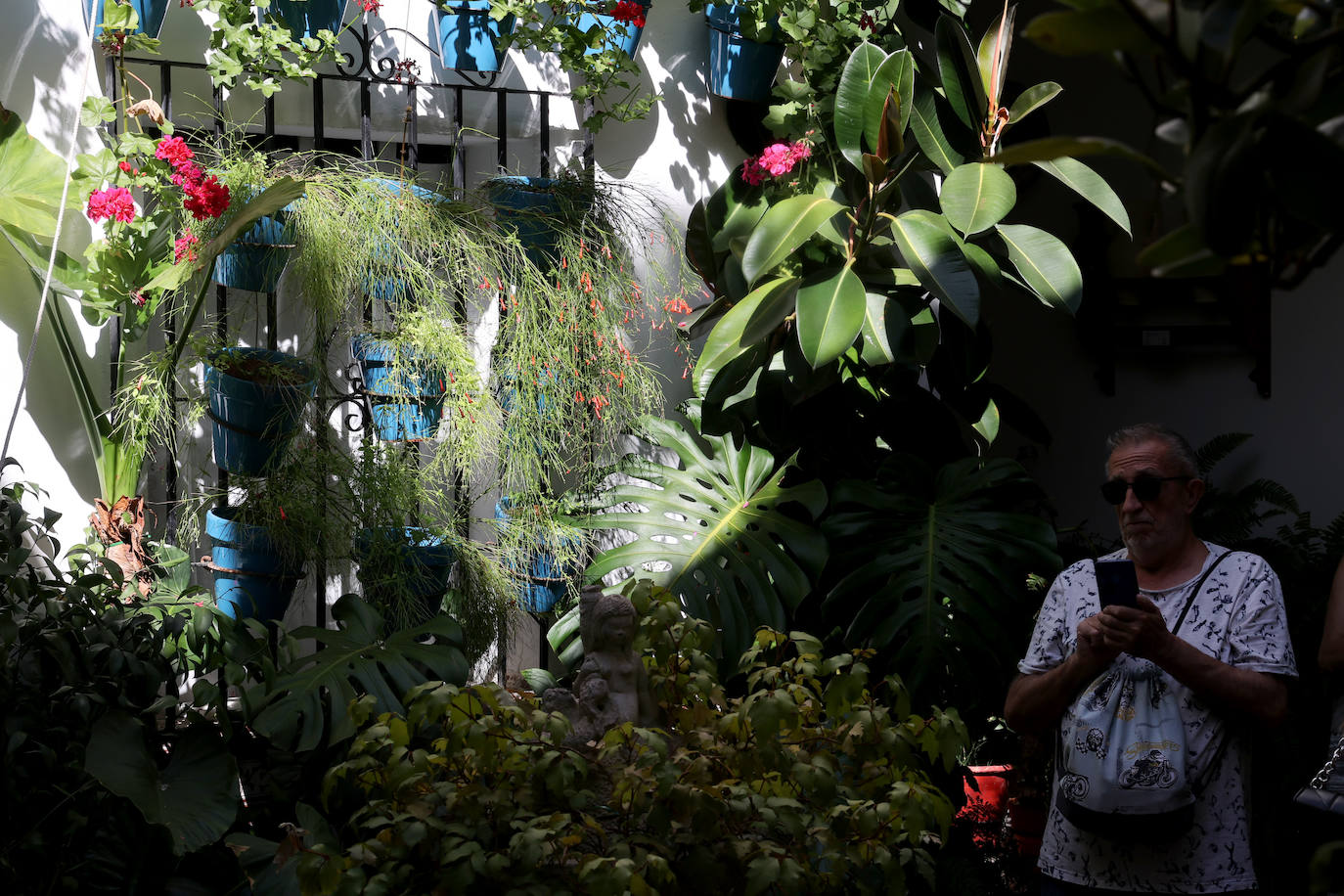 Patios Córdoba 2023 | Los detalles de la ruta Judería-San Francisco, en imágenes