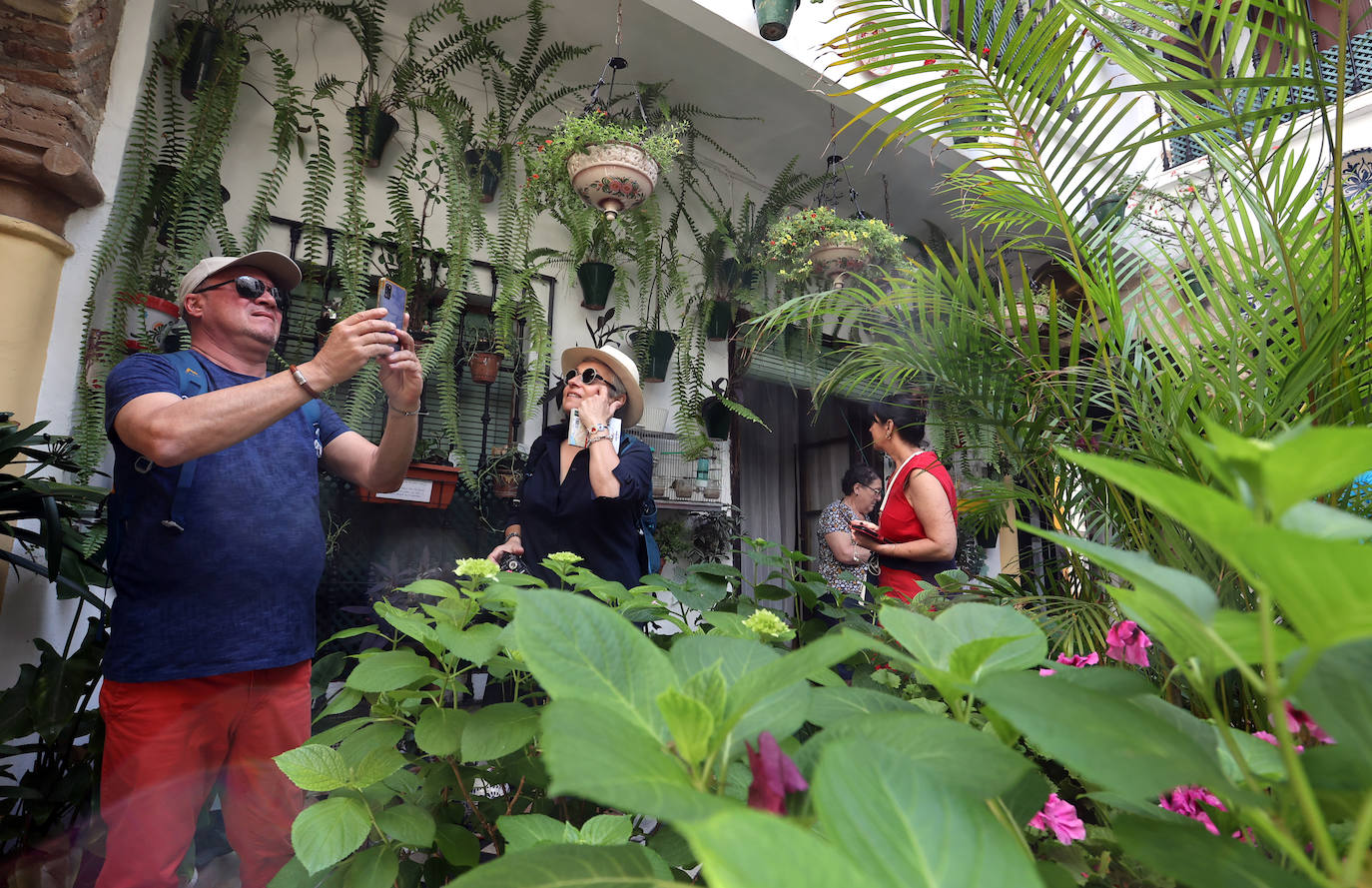 Patios Córdoba 2023 | Los detalles de la ruta Judería-San Francisco, en imágenes