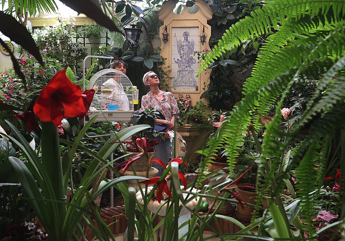 Visitantes en Maese Luis, 9 en la fiesta de los Patios de Córdoba