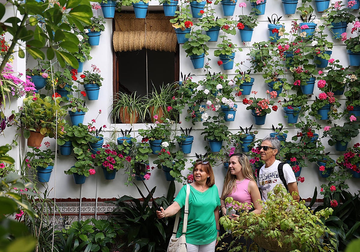 Patios Córdoba 2023 | Los detalles de la ruta Judería-San Francisco, en imágenes
