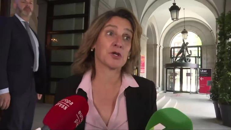 Ribera acusa de electoralismo político al PP por "pedir una Conferencia de Presidentes"