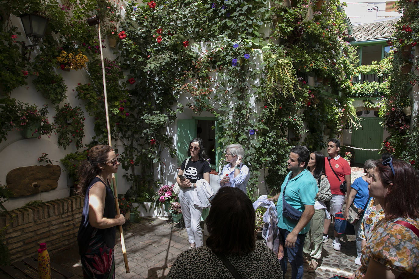 Los Patios llenan Córdoba este sábado de colas, en imágenes