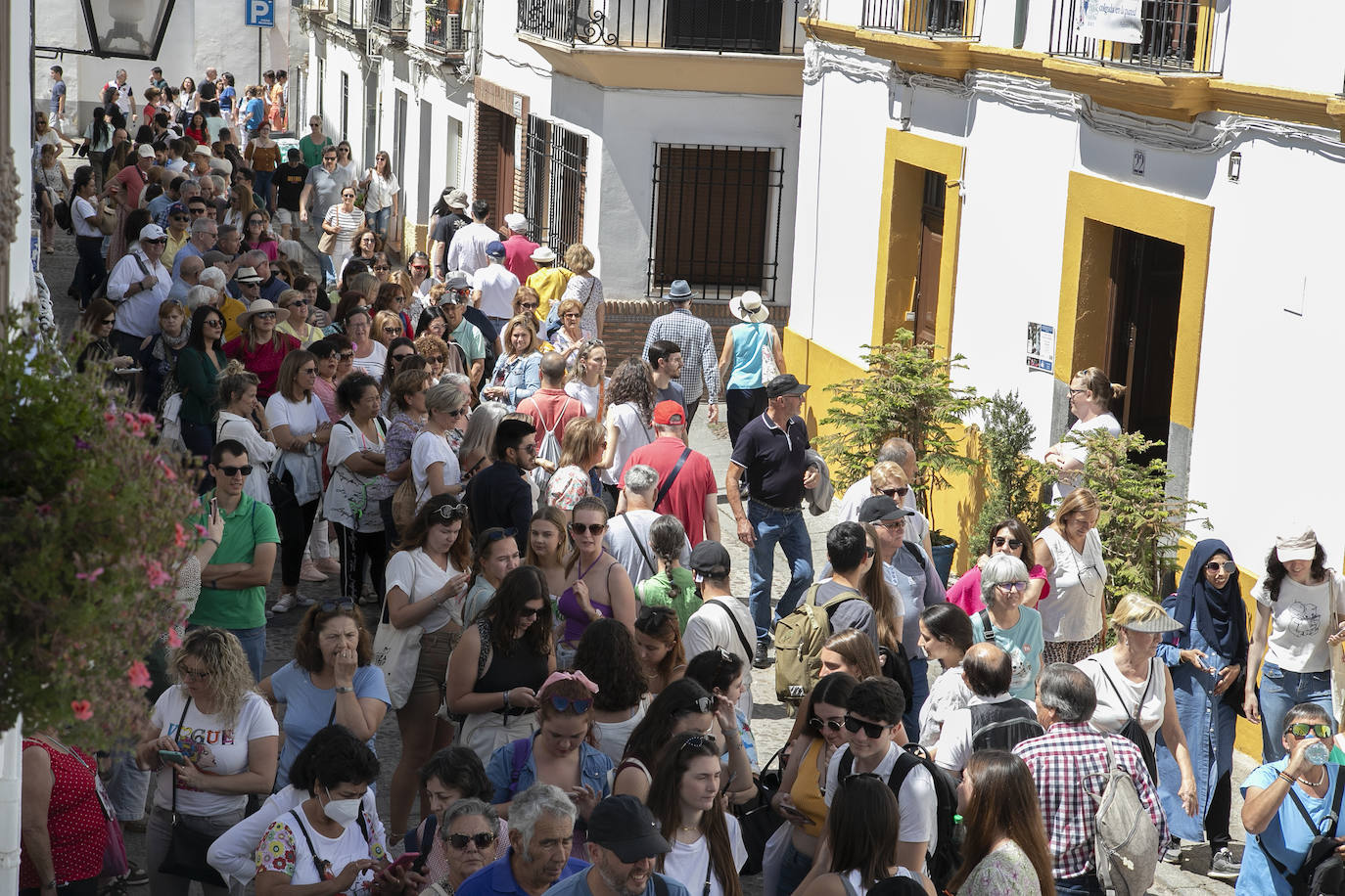 Los Patios llenan Córdoba este sábado de colas, en imágenes