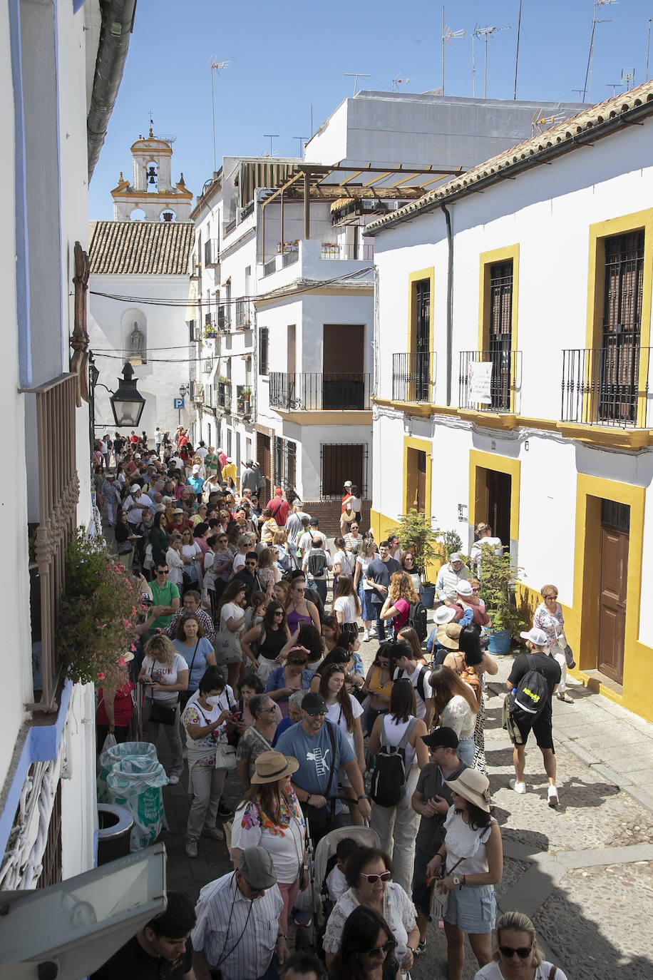 Los Patios llenan Córdoba este sábado de colas, en imágenes