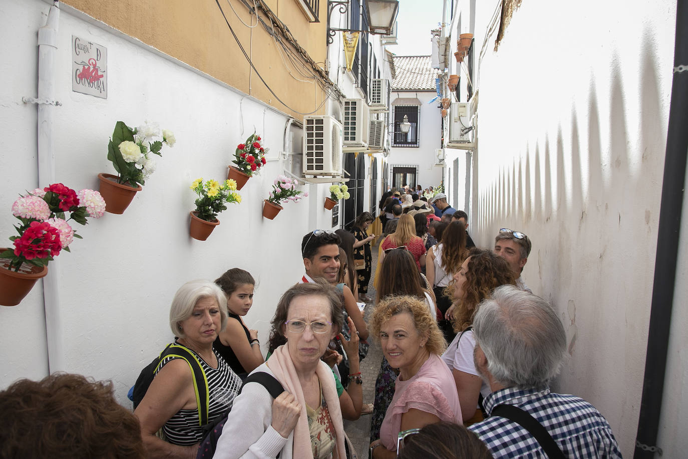 Los Patios llenan Córdoba este sábado de colas, en imágenes