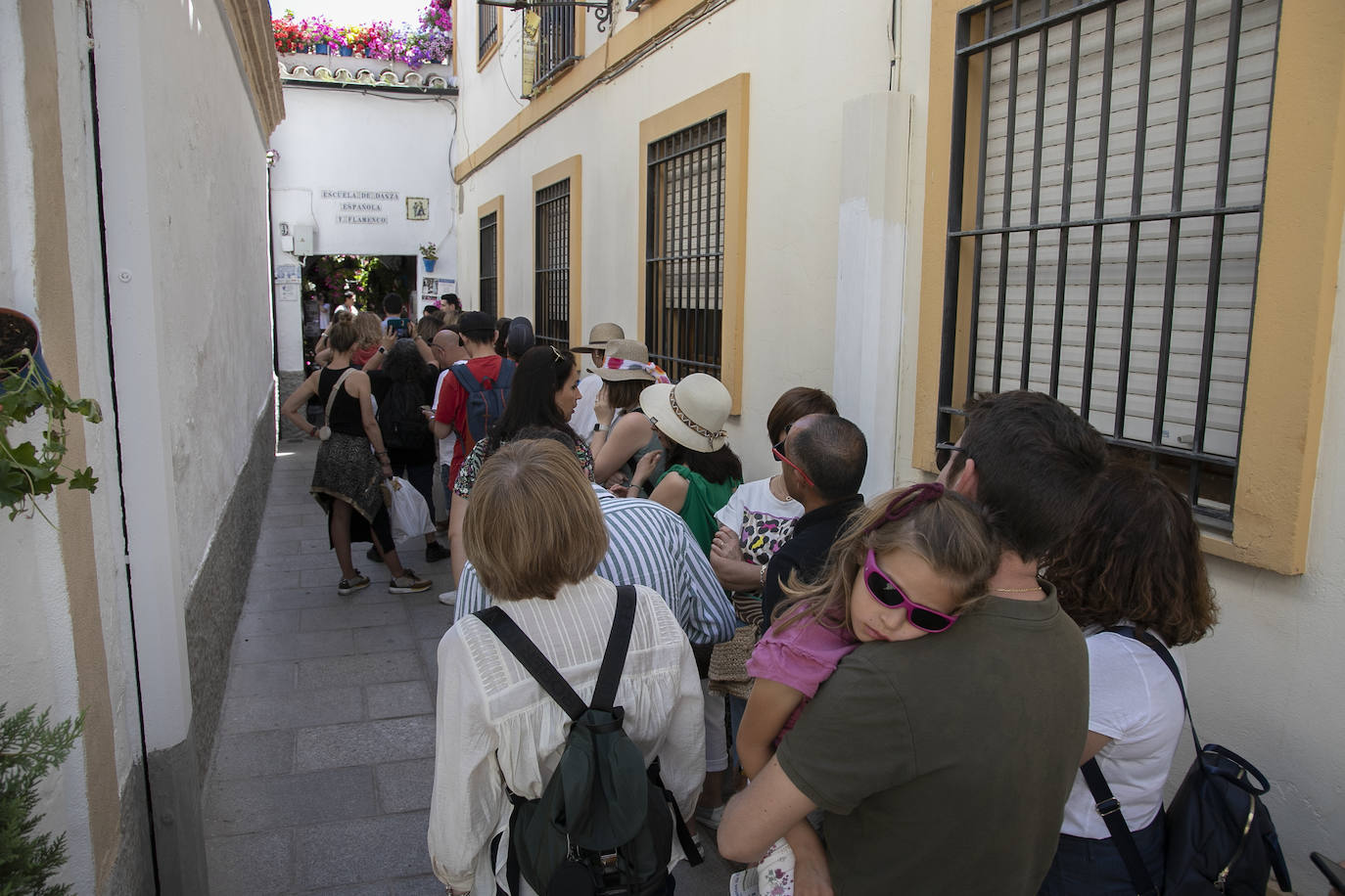 Los Patios llenan Córdoba este sábado de colas, en imágenes