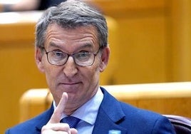 El PP vigila de cerca las nacionalizaciones y pide al Gobierno la verificación del censo electoral exterior