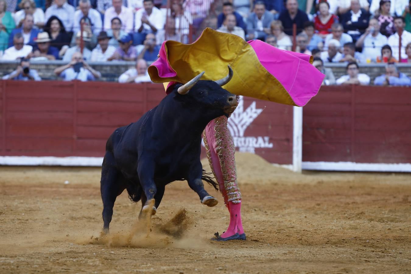 El triunfo de Manuel Román en su debú en la plaza de toros de Córdoba, en imágenes