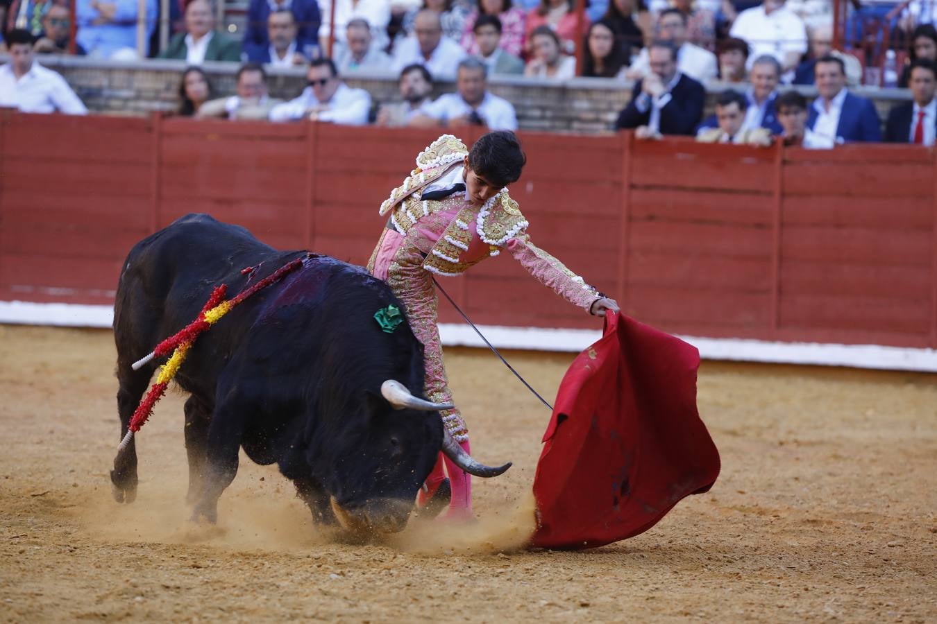 El triunfo de Manuel Román en su debú en la plaza de toros de Córdoba, en imágenes