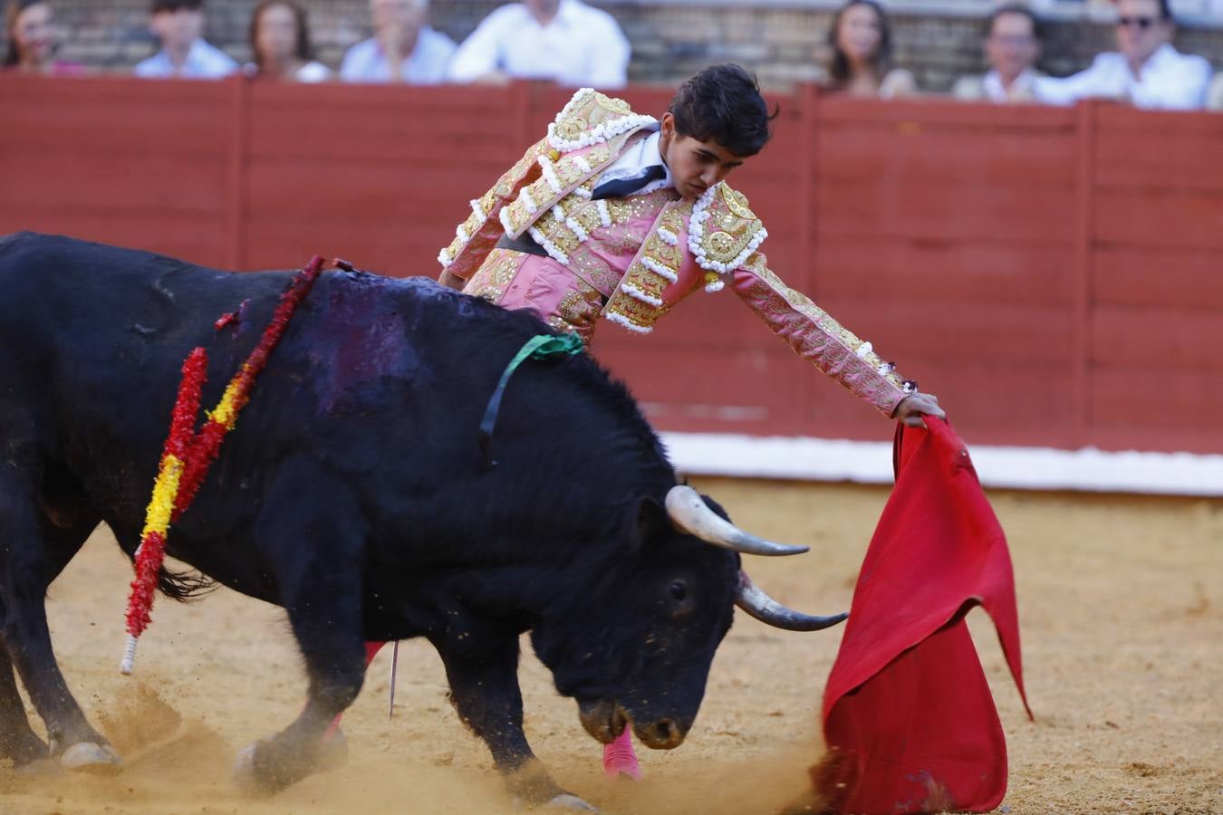 El triunfo de Manuel Román en su debú en la plaza de toros de Córdoba, en imágenes