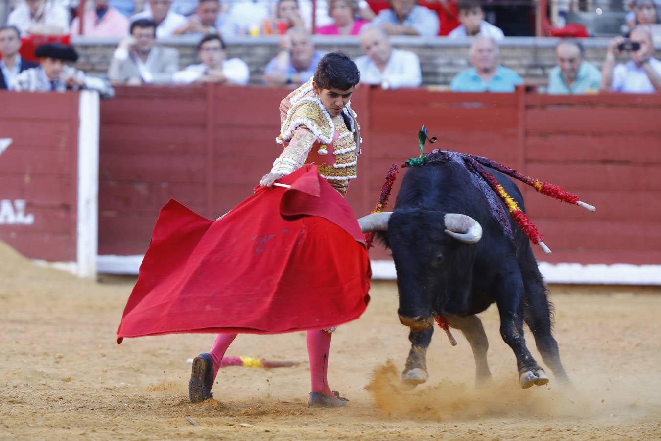 El triunfo de Manuel Román en su debú en la plaza de toros de Córdoba, en imágenes