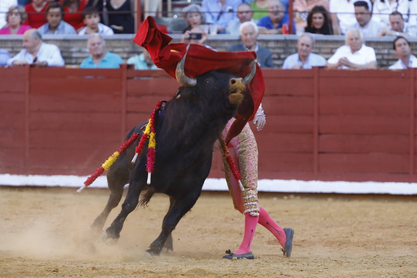 El triunfo de Manuel Román en su debú en la plaza de toros de Córdoba, en imágenes