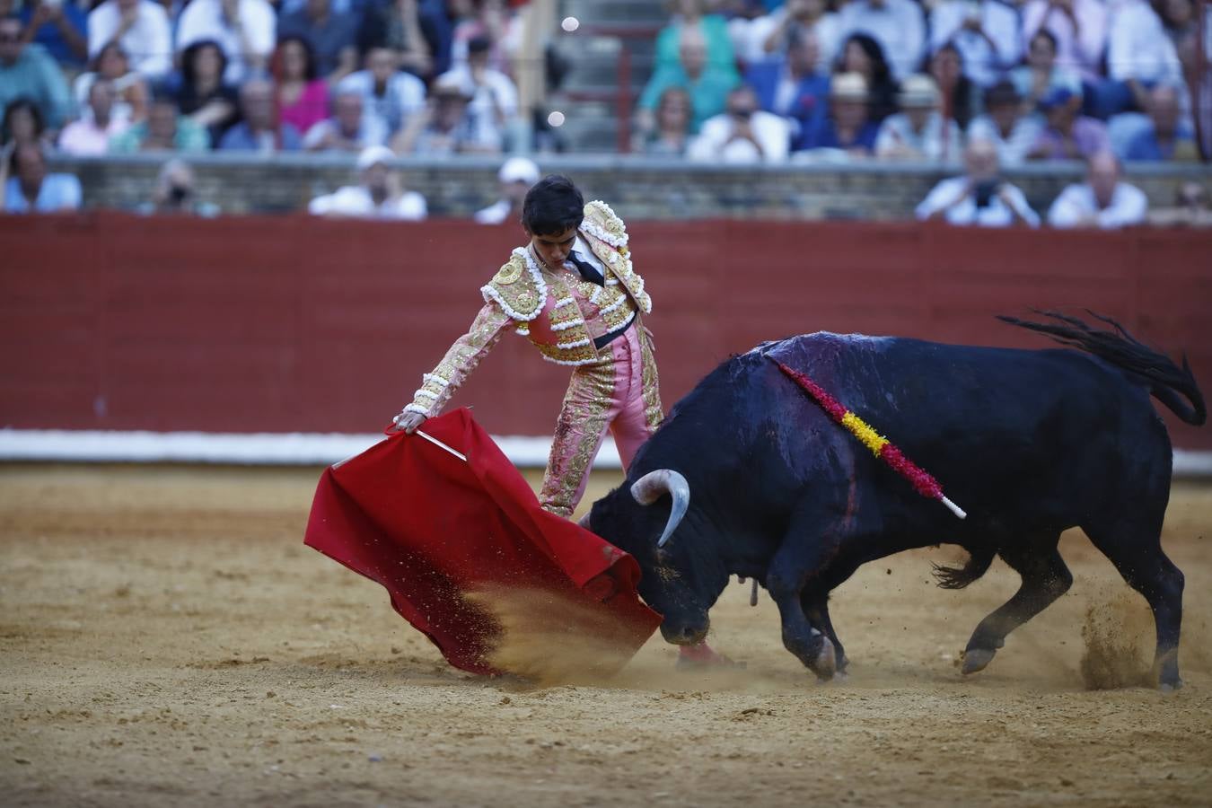 El triunfo de Manuel Román en su debú en la plaza de toros de Córdoba, en imágenes
