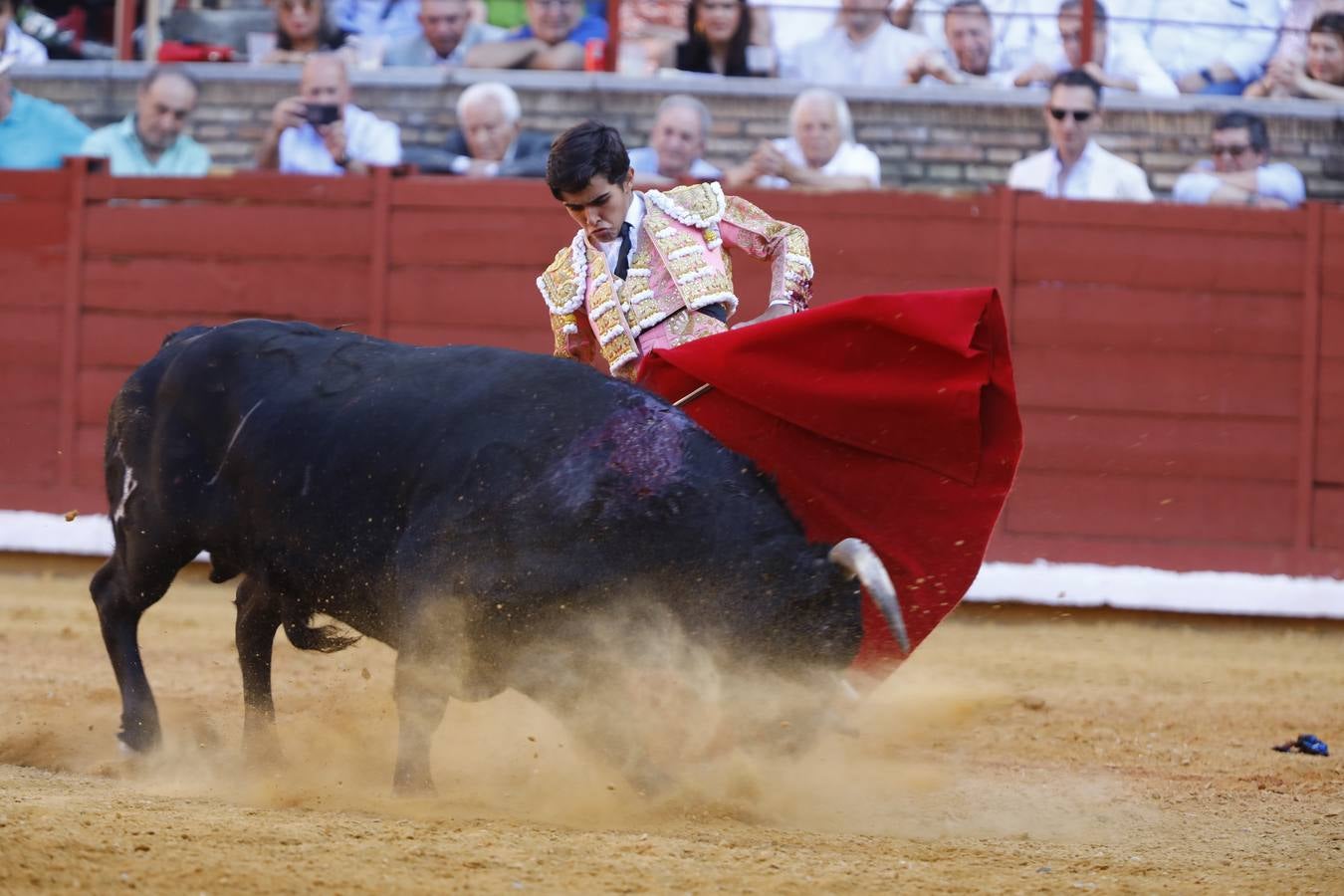 El triunfo de Manuel Román en su debú en la plaza de toros de Córdoba, en imágenes