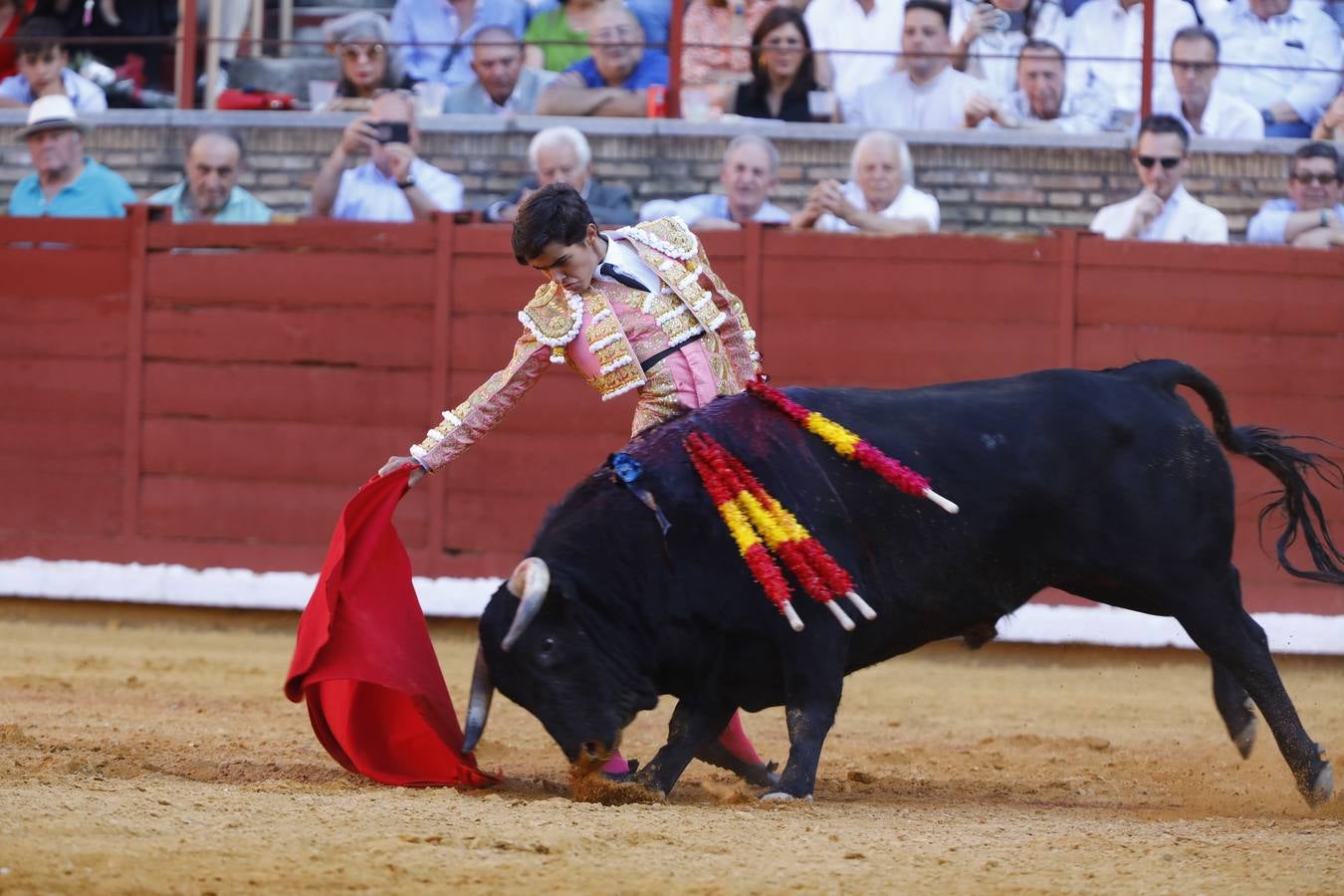 El triunfo de Manuel Román en su debú en la plaza de toros de Córdoba, en imágenes