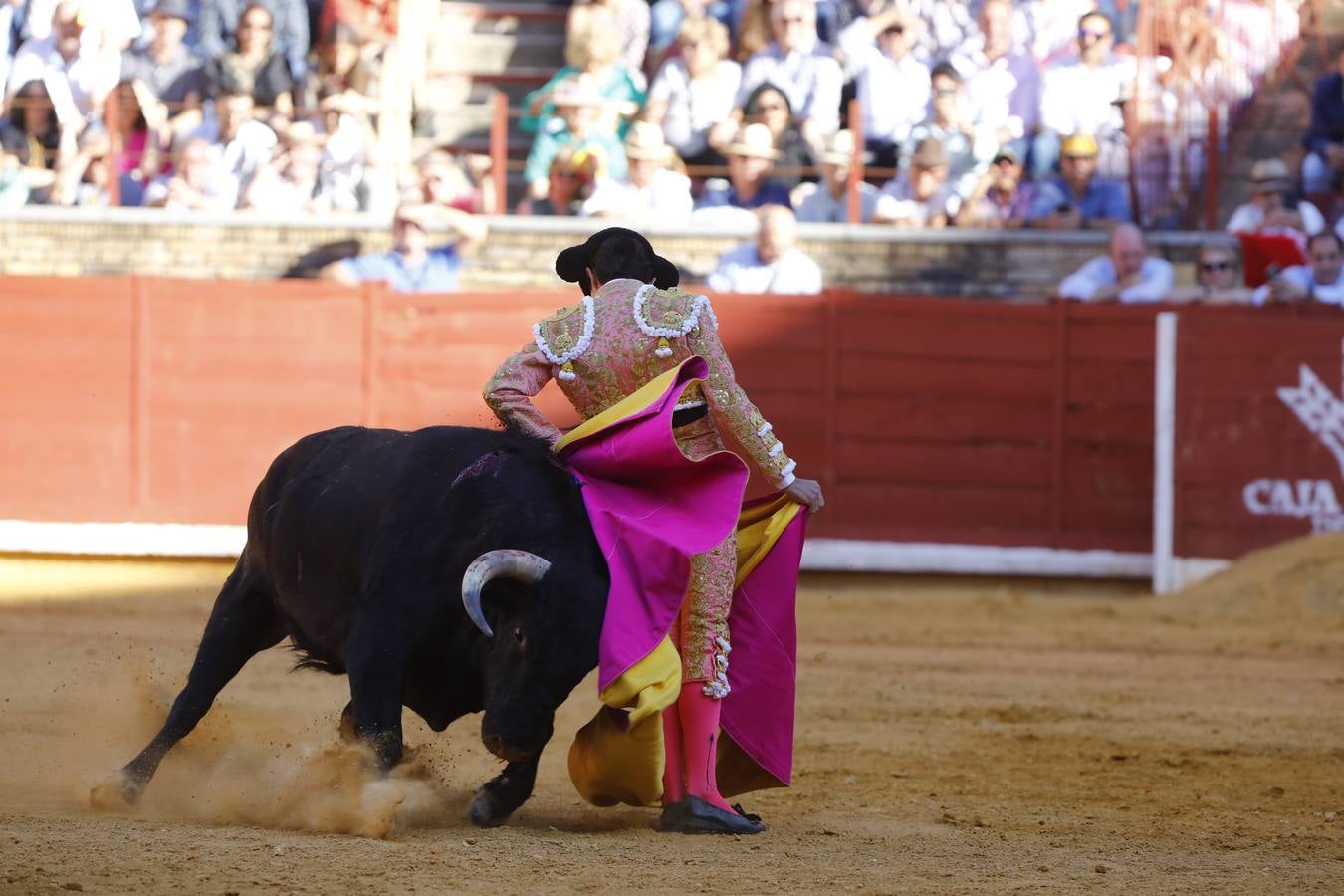 El triunfo de Manuel Román en su debú en la plaza de toros de Córdoba, en imágenes