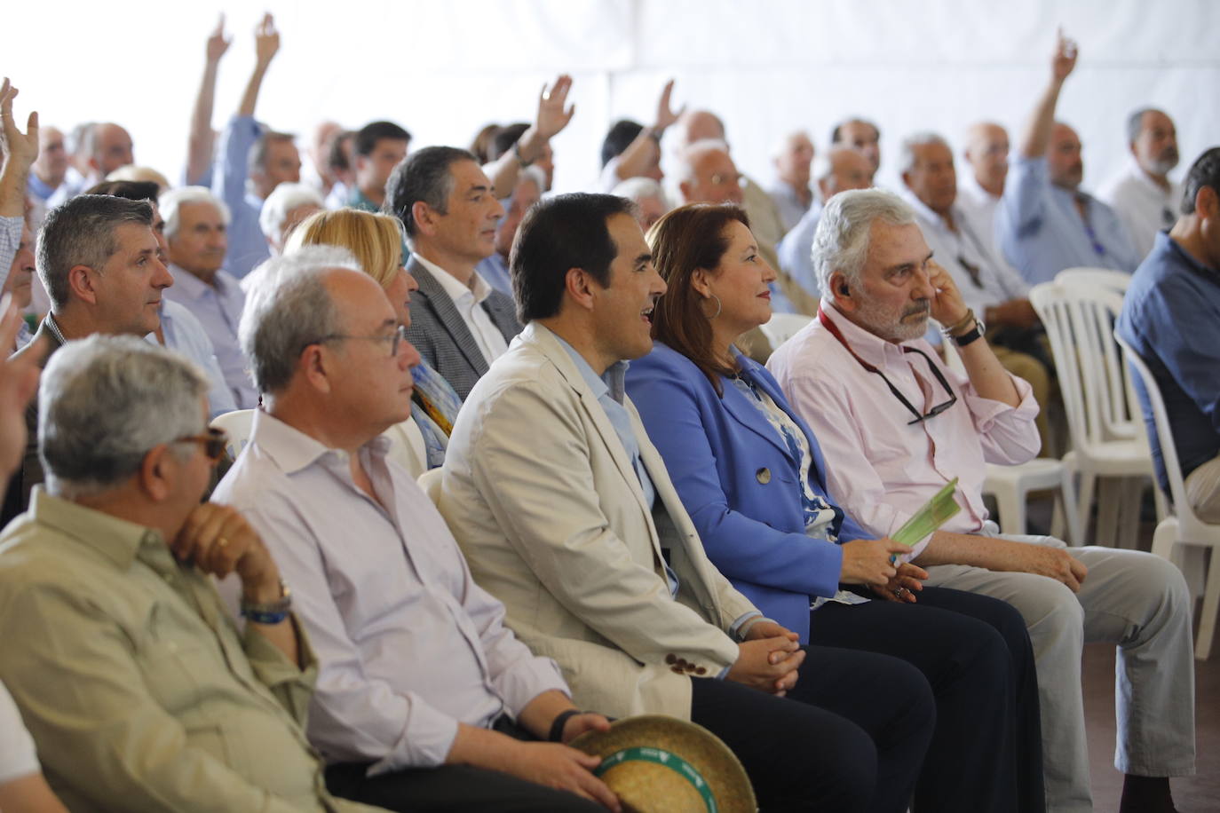 La celebración de San Isidro Labrador en Córdoba, en imágenes
