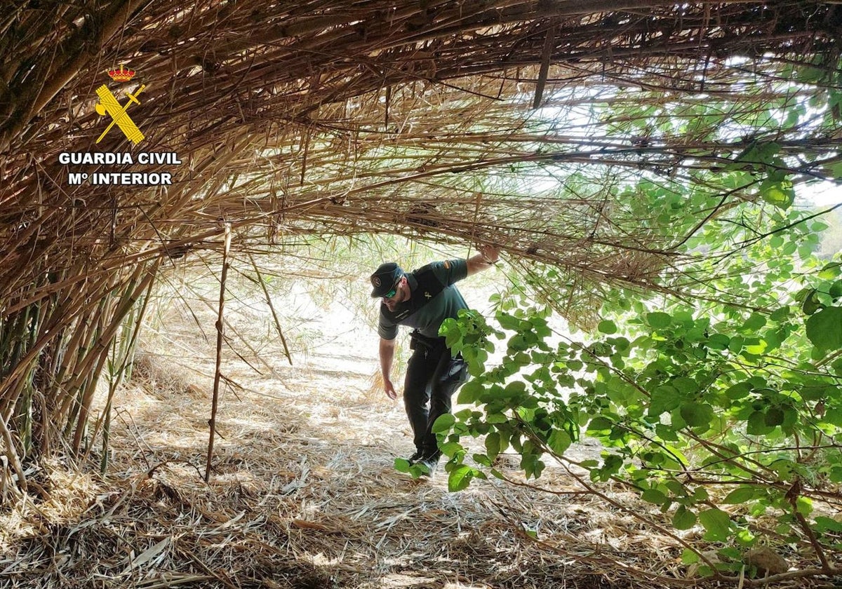 Imagen de un guardia civil caminando por el terreno de Algorfa donde se perdió el anciano